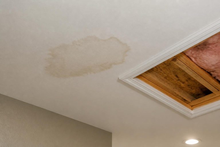 Leak Detection